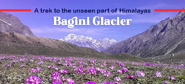 A trek to the unseen part of Himalayas (Bagini Glacier)